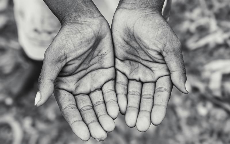 BORN IN CHICAGO, BUILT BY A GRANDMOTHER